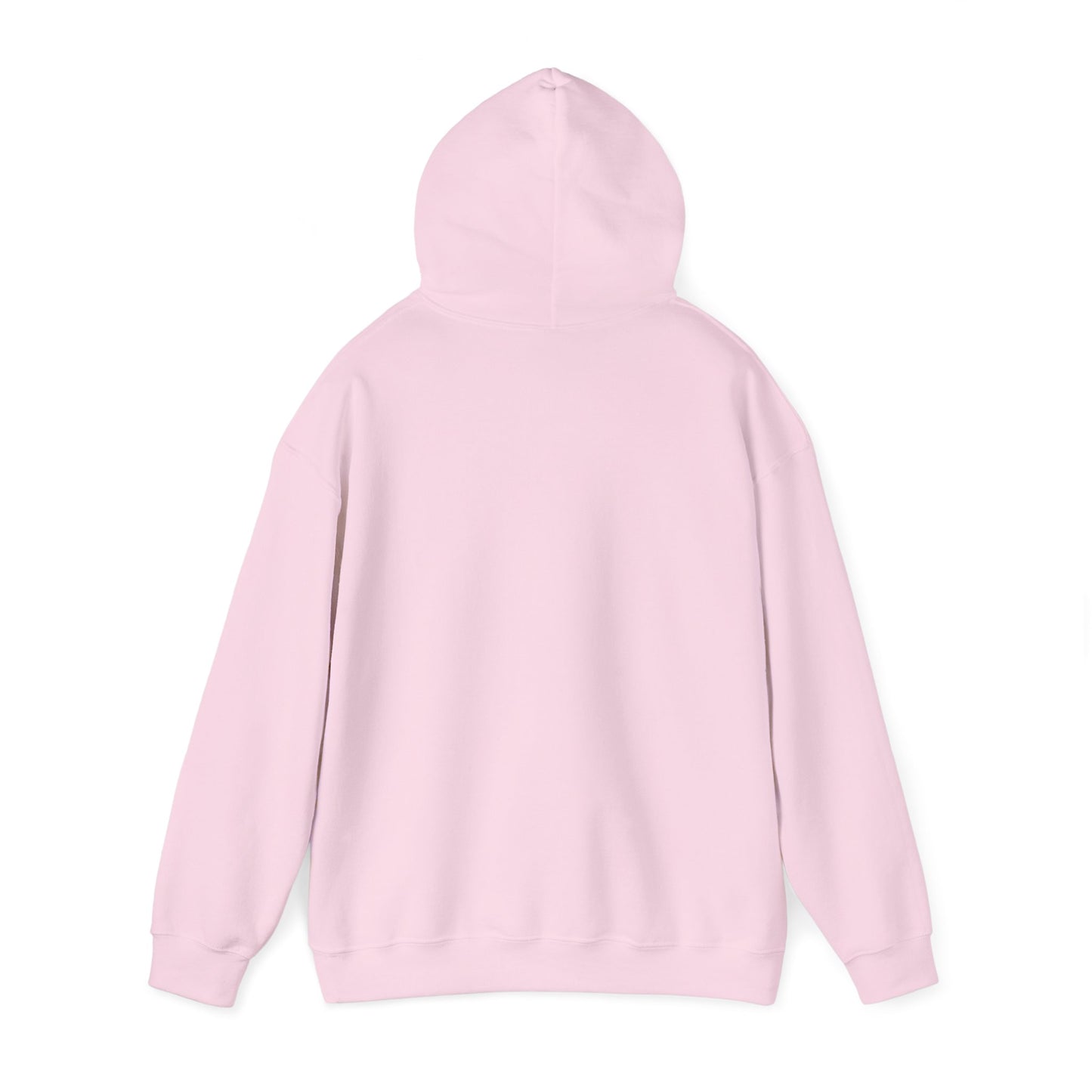 Pretty N Paid Womens Hoodie