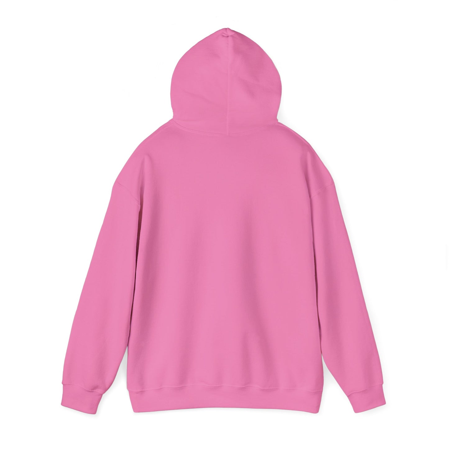 Pretty N Paid Womens Hoodie