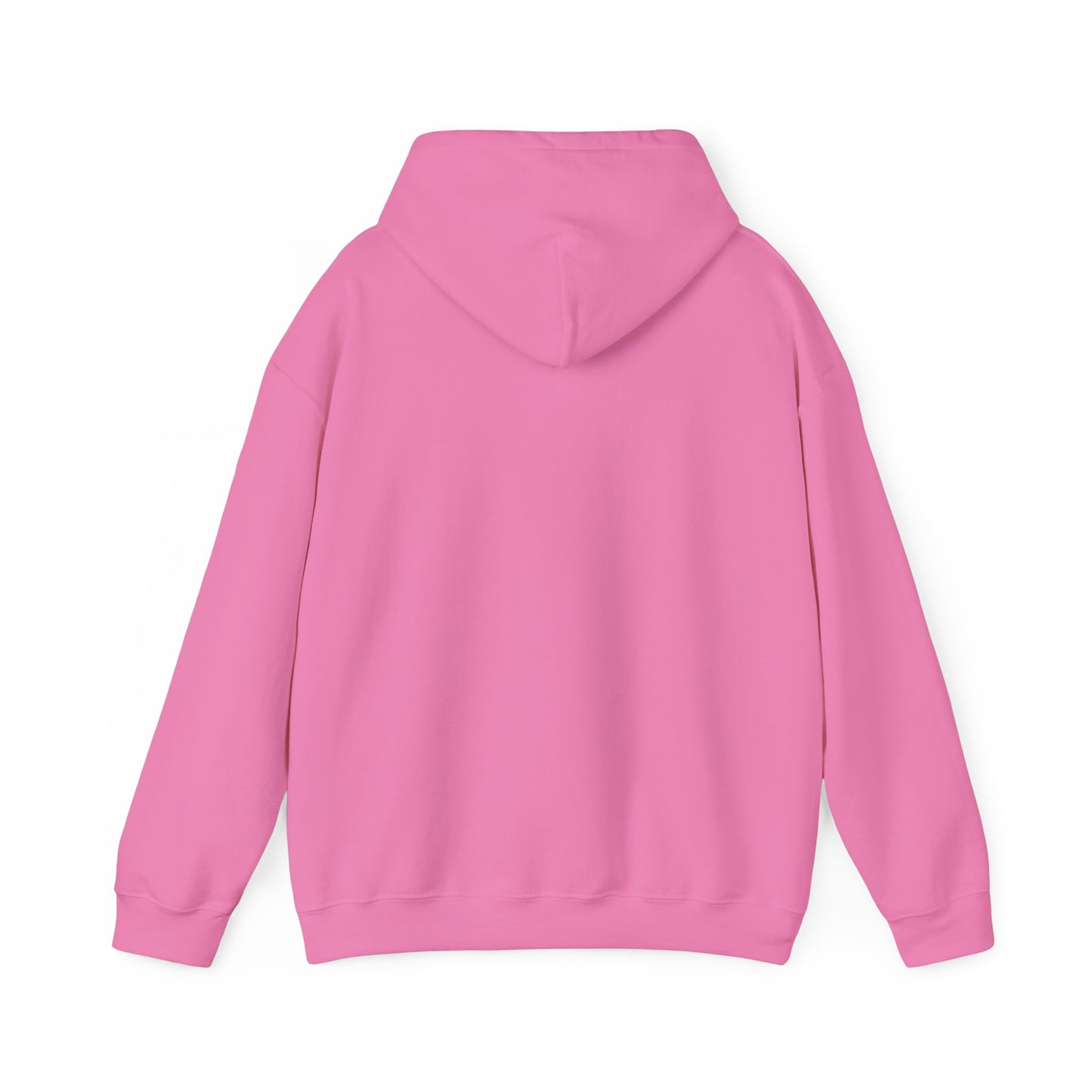 Pretty N Paid Womens Hoodie